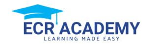 system logo