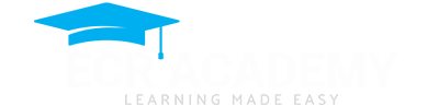 system logo